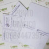 Veterinaria - Imagen 11